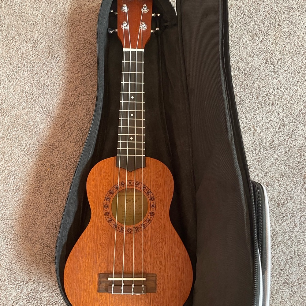 Everjoys Ukulele